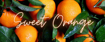 Sweet Orange Soy Candle