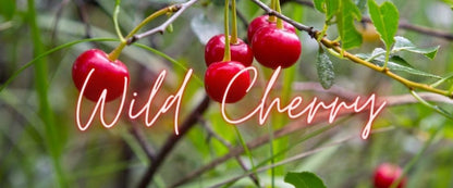 Wild Cherry 10oz